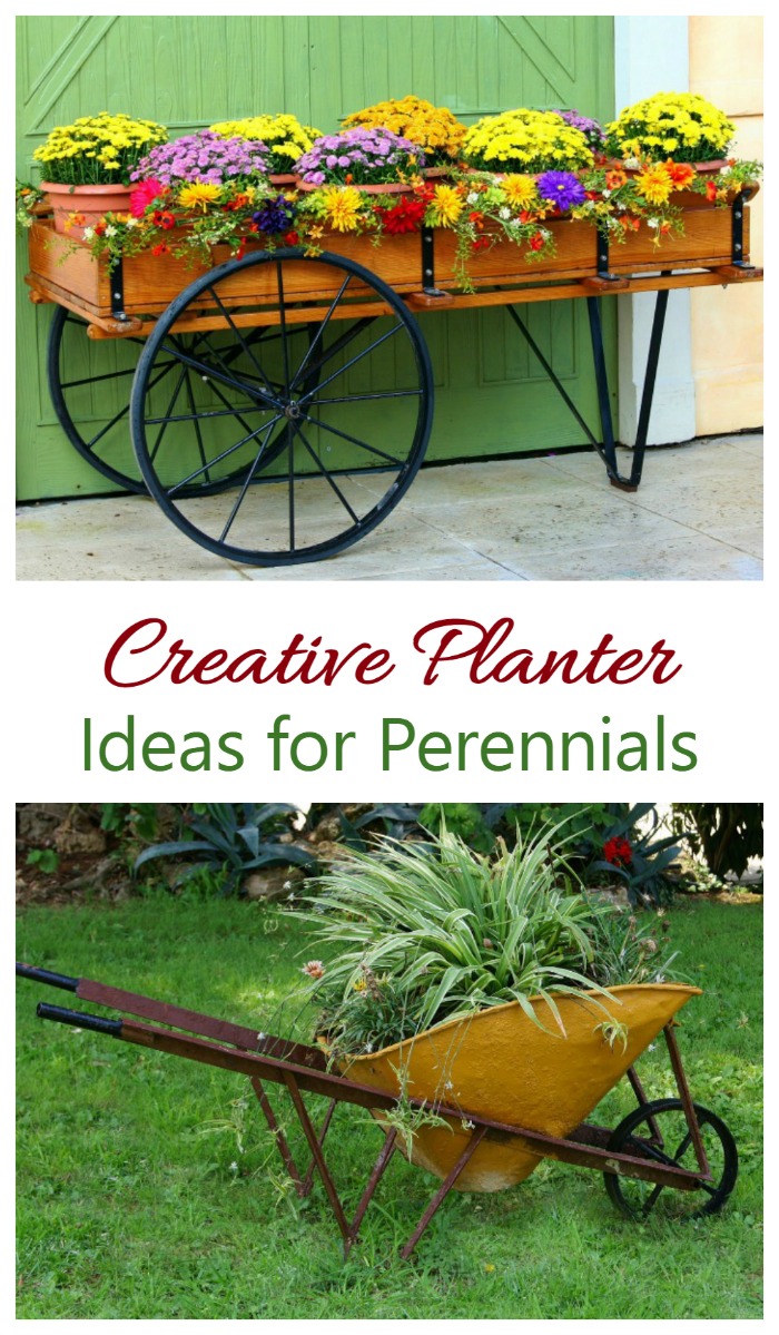 Perennials can be grown in planters too. See some creative ideas on the Gardening Cook