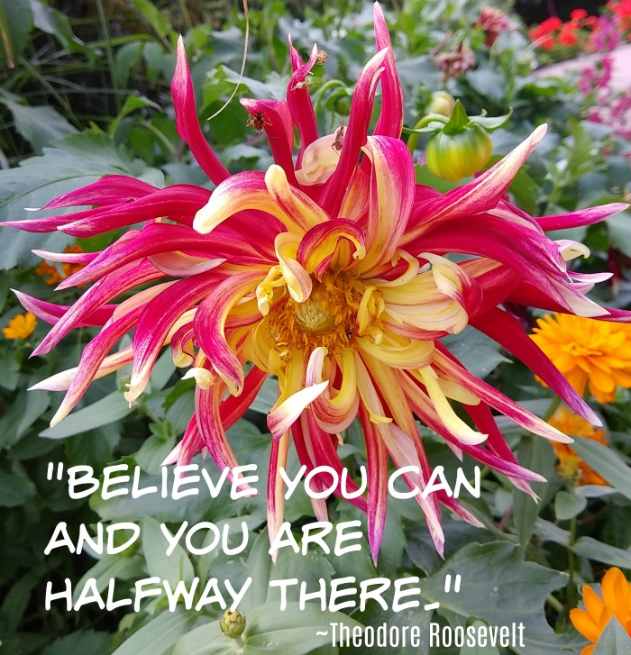 "Believe you can and you are halfway there." - Theodore Roosevelt inspirational flower quote
