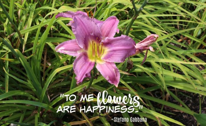 Stefano Gabbana flower quote "To me flowers are happiness."