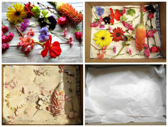 How to preserve flowers with Borax