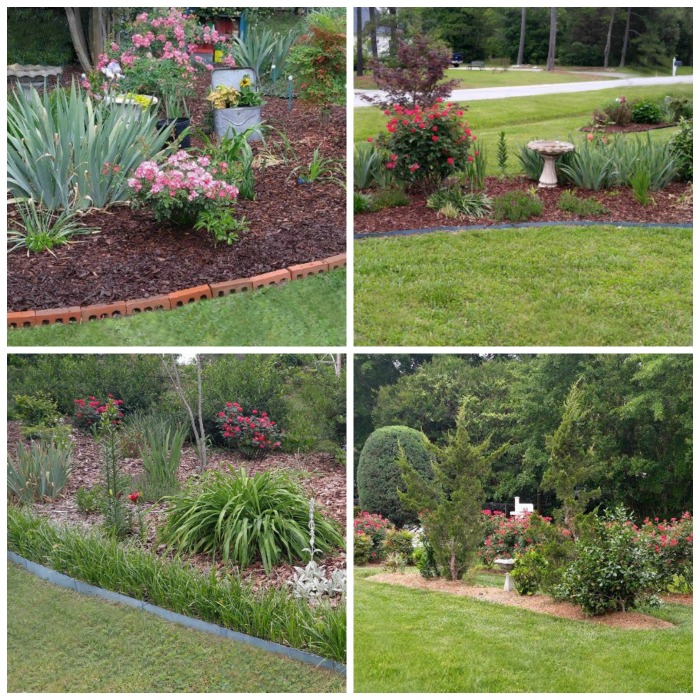 Various types of edging
