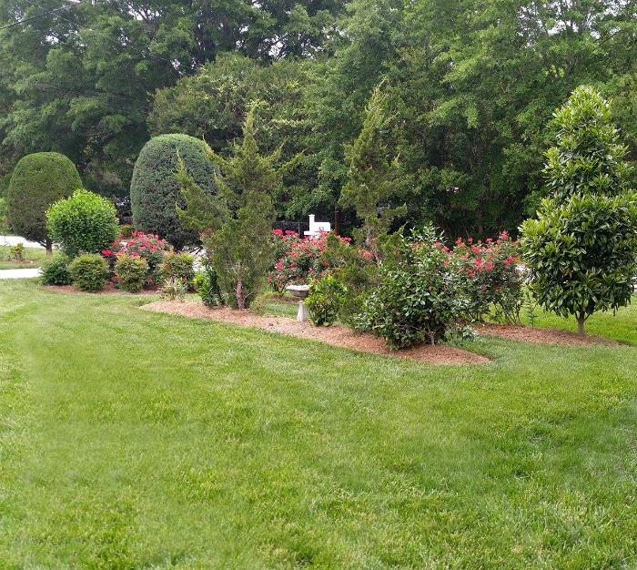 Lush green lawn