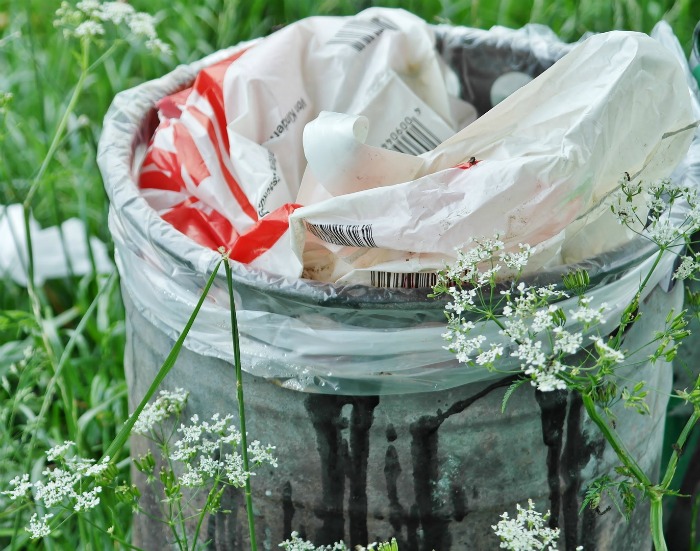 Empty your garbage bins to keep ants away.