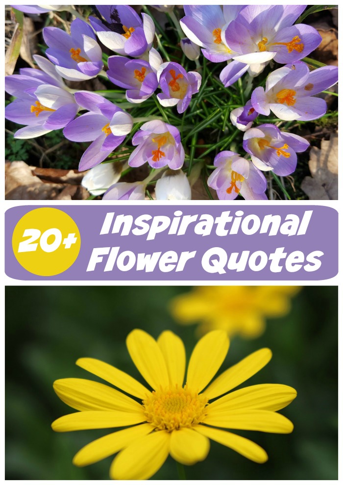 Over 20 Flower Inspirational quotes with images