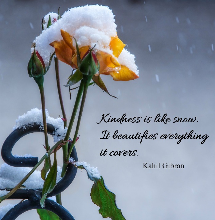 Inspirational flower quotes - Kindness is like snow,. Kahil Gibran