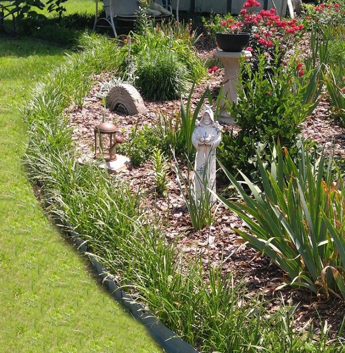 Liriope used as a border plant