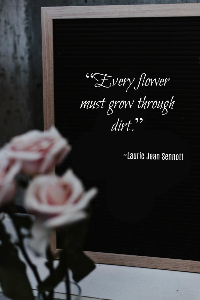 Blackboard and pink roses with the quote “Every flower must grow through dirt.”