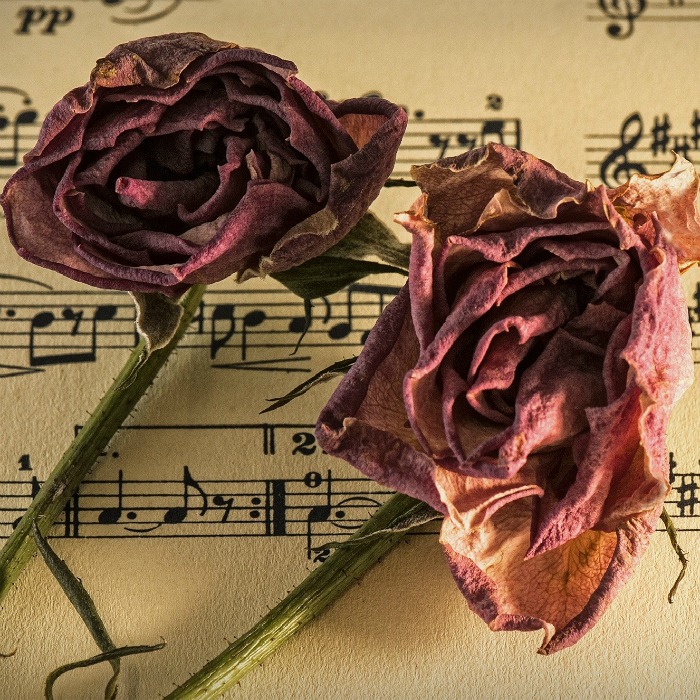 How to Preserve Flowers with Borax