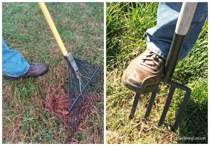 Raking and aerating a lawn