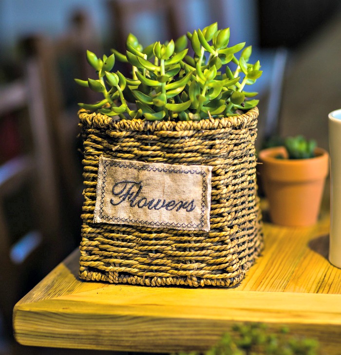 Rustic basket planted with succulent Rattan basket Succulent planter