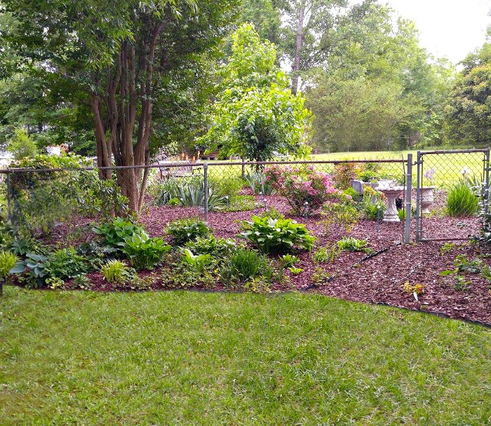Shady garden bed