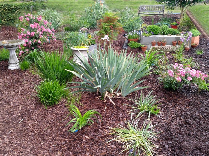 Sunny garden bed gets sunlight most of the day.