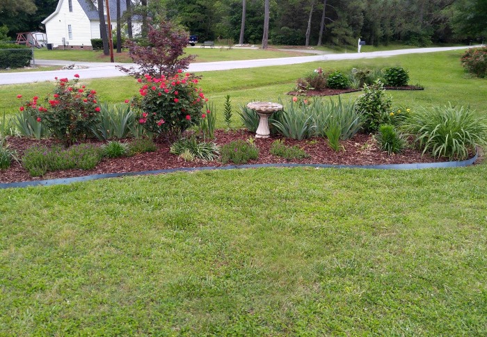 Large garden beds with spring and summer blooming plants