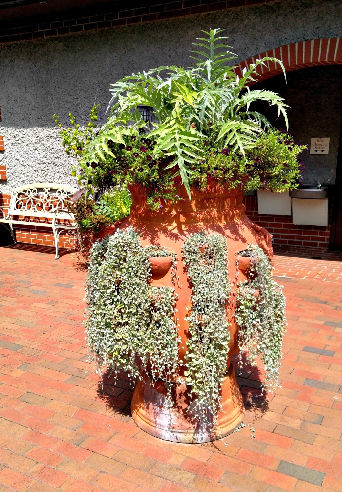 Large Succulent planter made from a strawberry pot