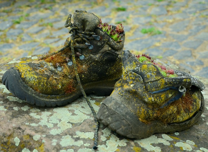 old shoes planted with succulents Old boots Succulent planter