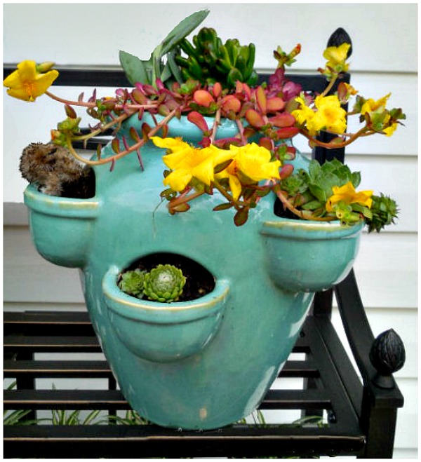 Blue strawberry pot Succulent planter