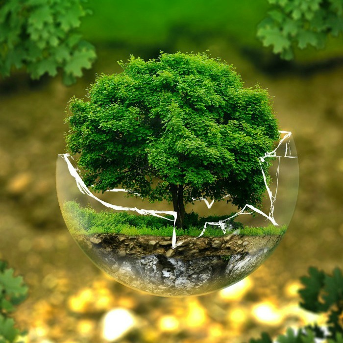 Composting Guide – Tips for Making Compost in Your Back Yard