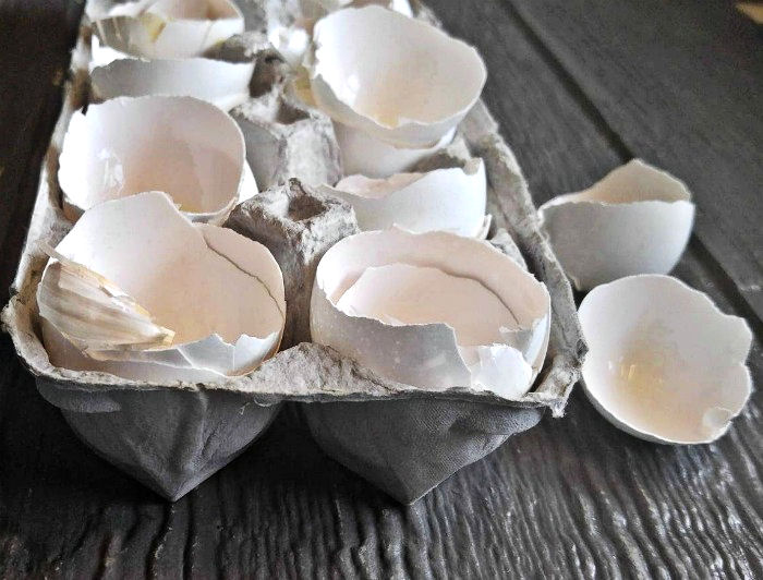 cracked eggs in an egg carton Cracked eggs for quiche
