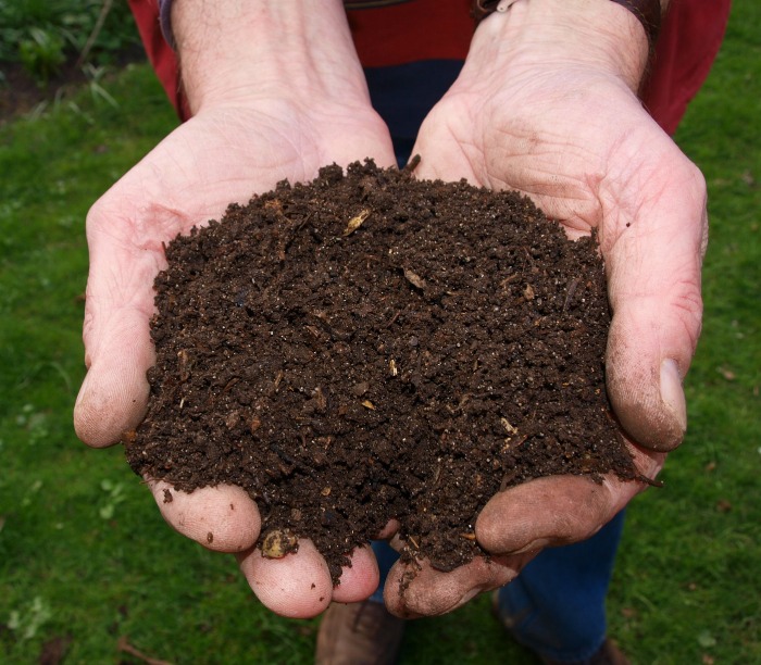 home made compost