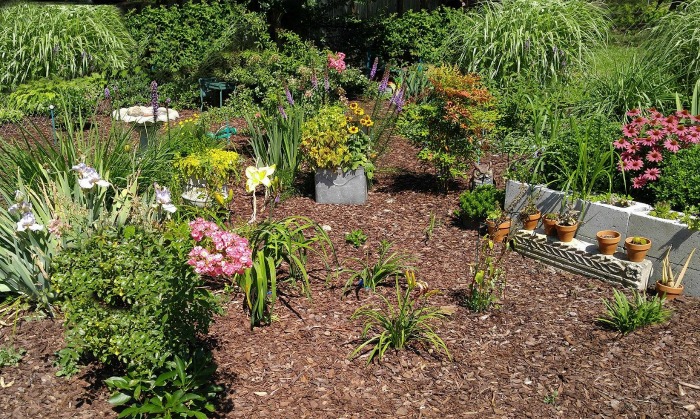 My garden at the end of June