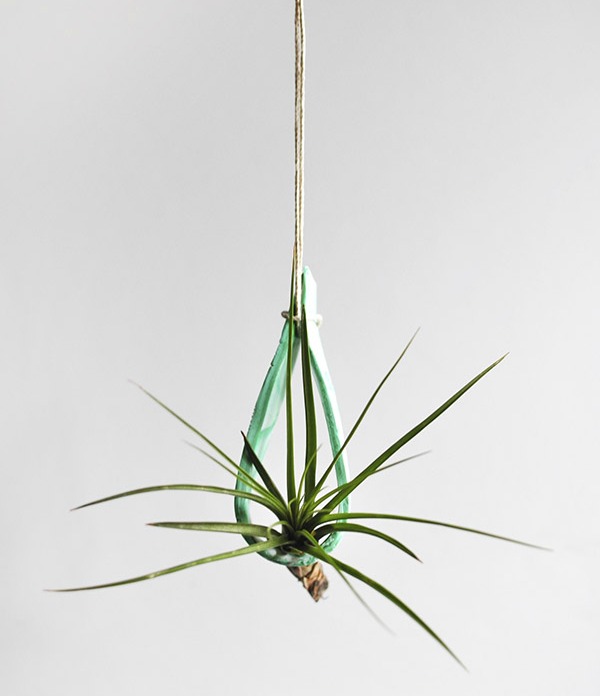 hanging air plant holder Hanging air plant holder from delineateyourdwelling.com