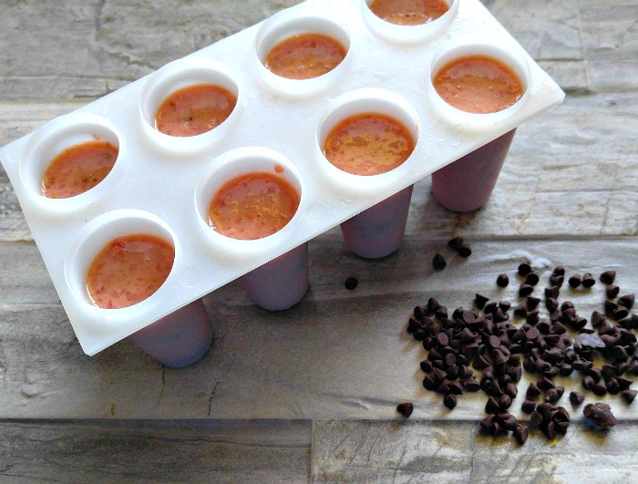 popsicle mold and chocolate chips