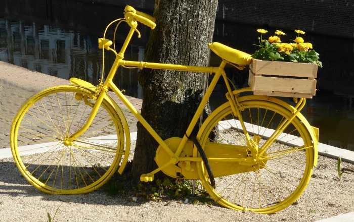 yellow bicycle planter Yellow bicycle planter