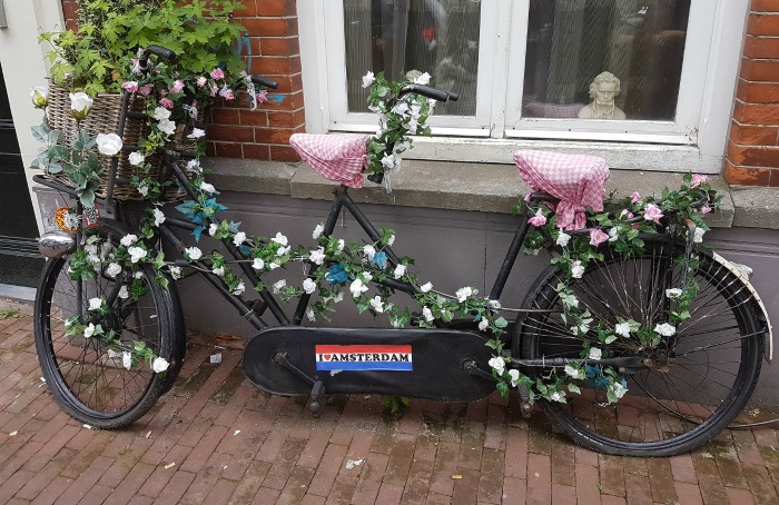 Double bicycle planter with pink gingham seats Bicycle with vines