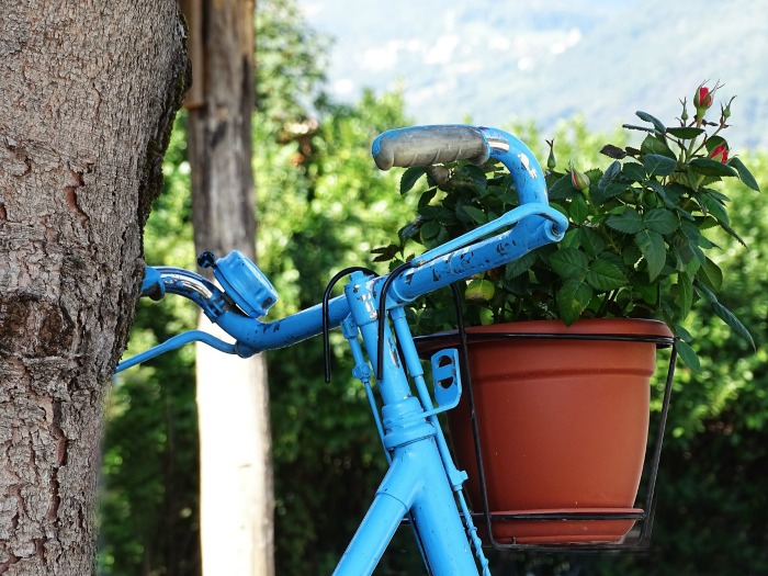 Tips for making a bicycle planter Tips for making a bicycle planter