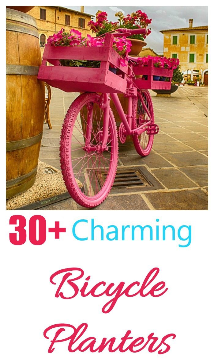 charming bicycle planters Bicycle with baskets all painted pink parked near a barrel, and words 30+ charming bicycle planters.