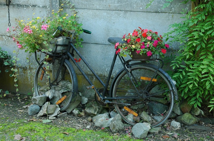 bicycle planter Recycled bicycle planter