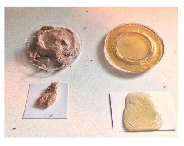 Ant bait with Peanut butter and honey 