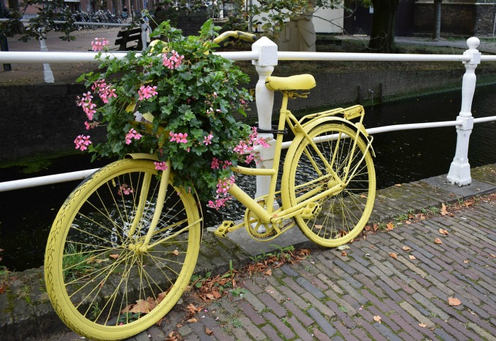 yellow bicycle planter with geraniums Yellow bicycle planter