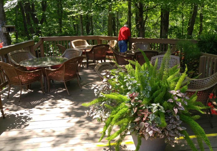 Garden deck overlooking a valley