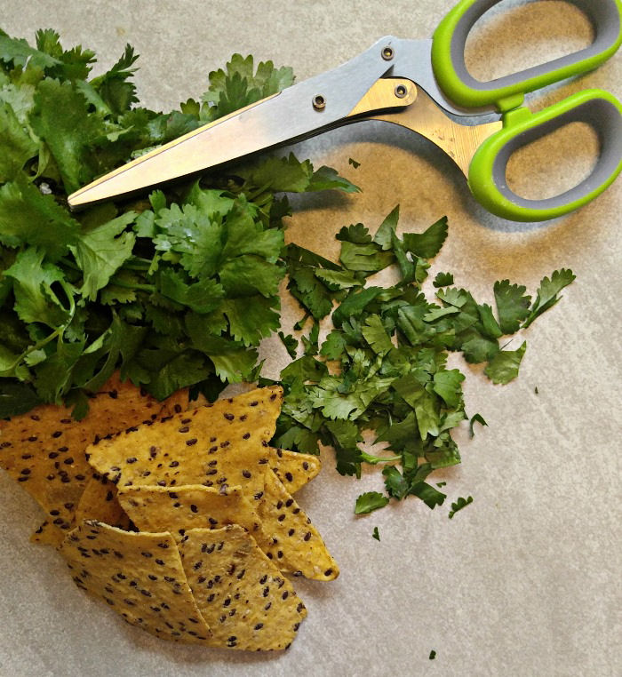 Cilantro and tortilla chips