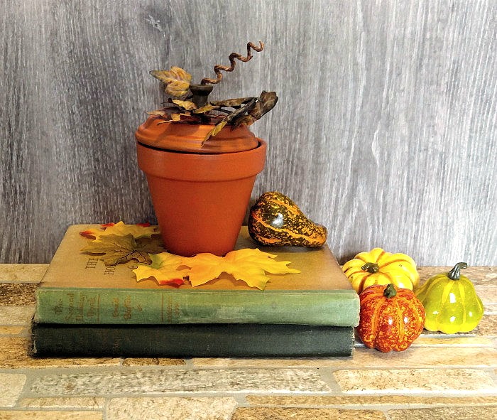 clay pot pumpkin vignette