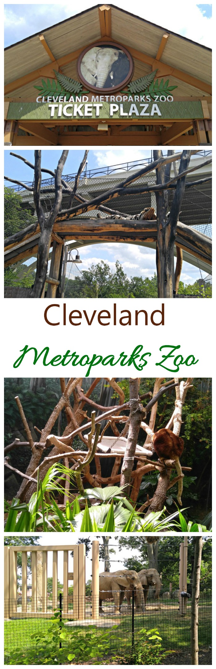 The Cleveland Metroparks Zoo is home to 3000 animals and over 10,000 plants