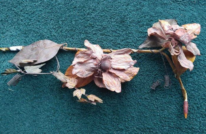 dried flowers