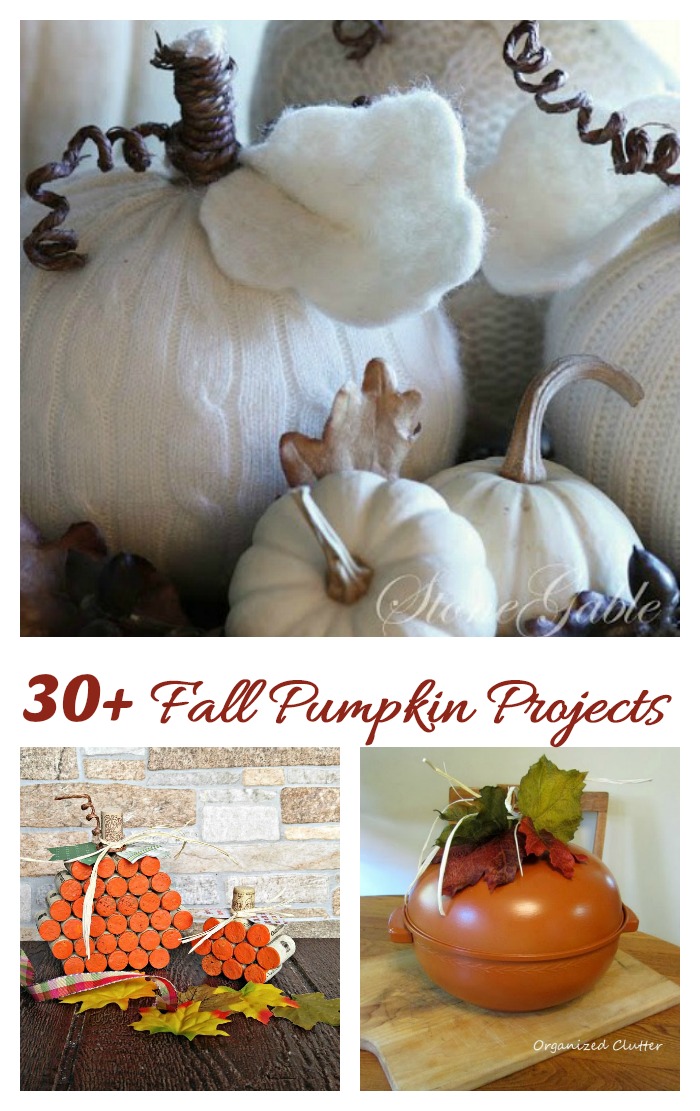 Get some inspiration for decorating this autumn with one of these 30 fall pumpkin projects.