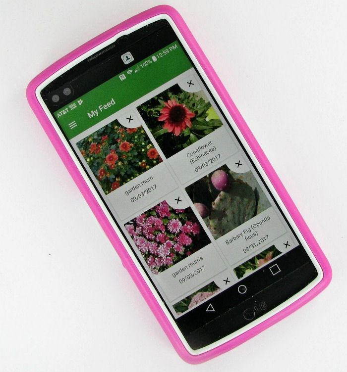 PlantSnap feed on a phone with a pink case.