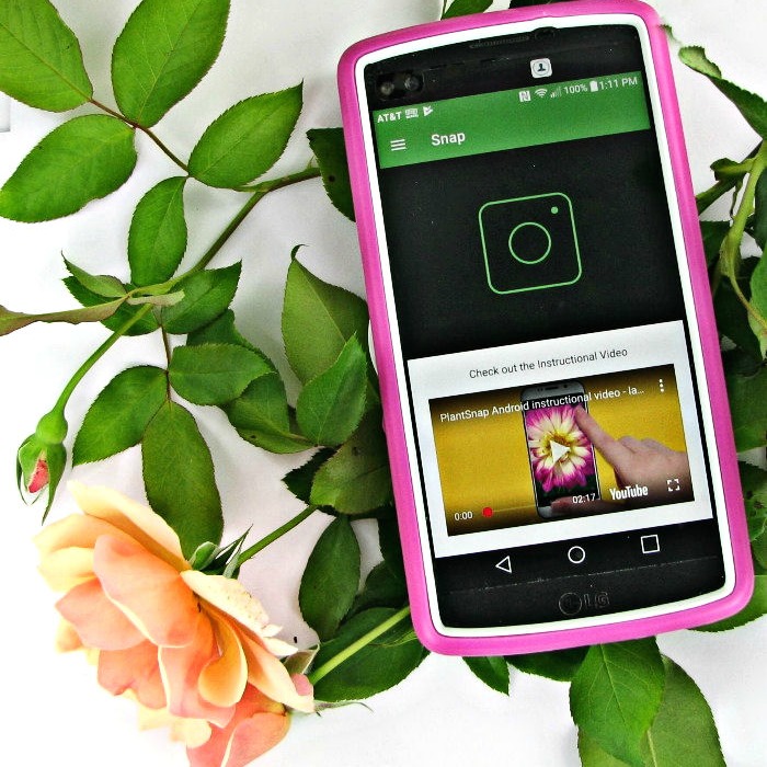 PlantSnap Mobile App – Tips and Tricks for Best Results