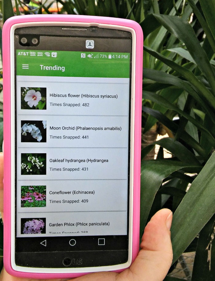 PlantSnap trending feed on a phone with a pink case.