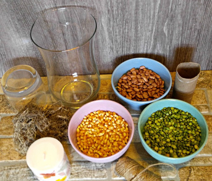 Ingredients for the hurricane lamp centerpiece