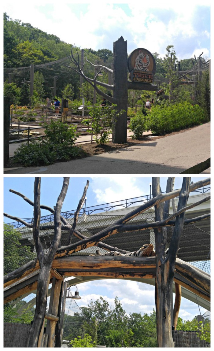 Tiger passage at the Cleveland Metroparks Zoo