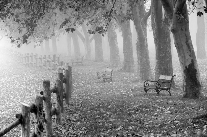 Autumn mist with park benches and fence