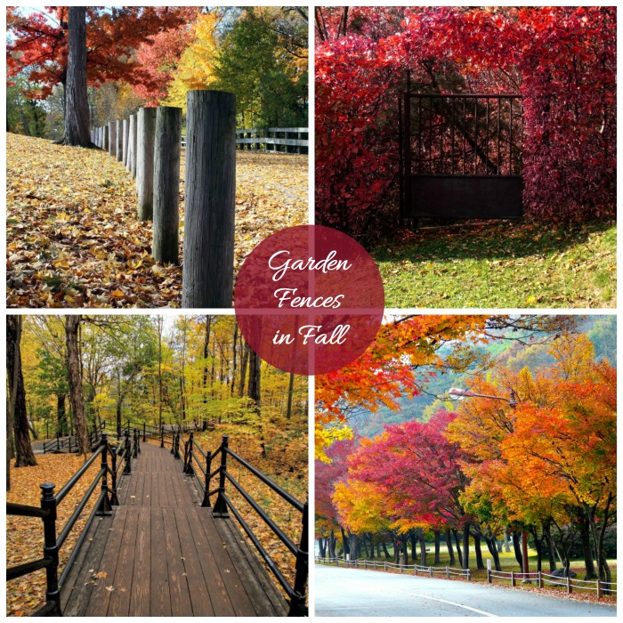 Fall Foliage – Garden Fences and Gates in Autumn