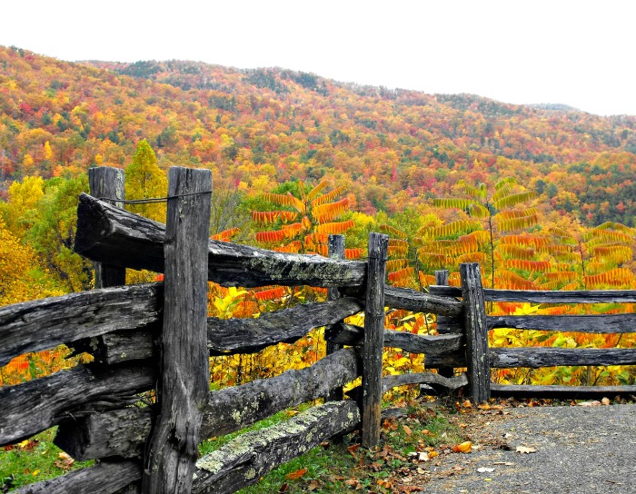 Rustic road side fence in autumn