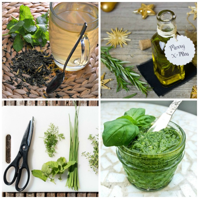 Fresh herbs have a great flavor and can be used in recipes, pesto, and flavored oils.