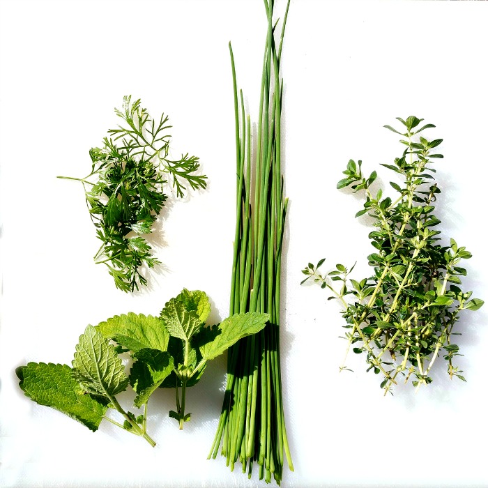 Growing and using fresh herbs