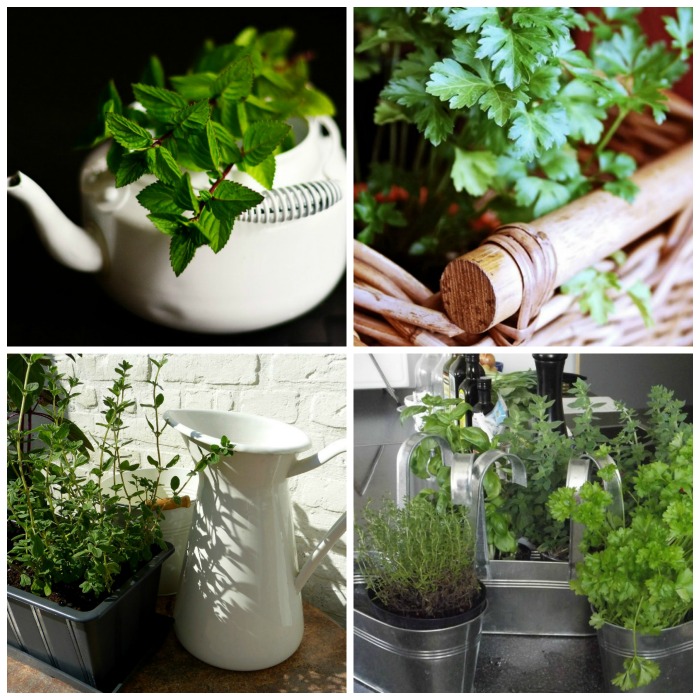 Containers for growing herbs indoors